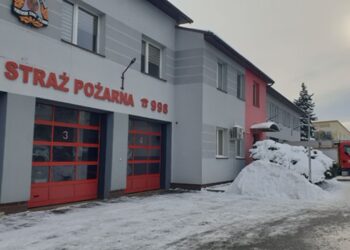 Tarnobrzeg. Pożary, zagrożenia i fałszywe alarmy. Bilans pracy strażaków PSP