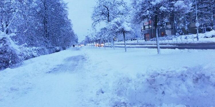 Salowa Wola, Powiat Stalowowolski: Służby i mieszkańcy walczą ze śniegiem