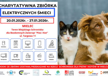 Mielec: Oddaj elektryczne śmieci i pomóż bezdomnym zwierzętom w Mielcu