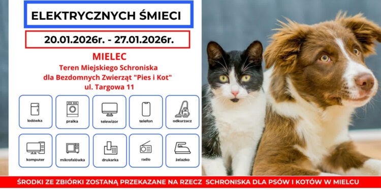 Mielec: Oddaj elektryczne śmieci i pomóż bezdomnym zwierzętom w Mielcu