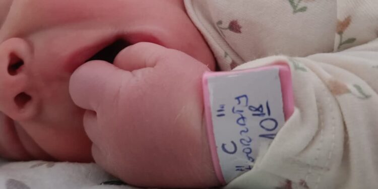 Mielec:W nowy rok razem z Zosią