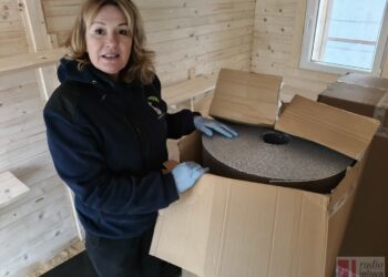 Tarnobrzeg. Celebryci też wspierają machowiaków