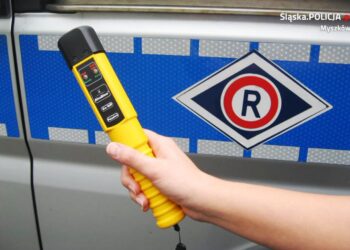 Kolbuszowa, Nowa Dęba. Nietrzeźwa policjantka prowadziła auto