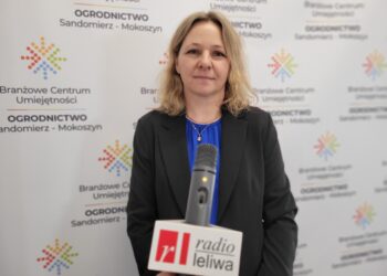 Sandomierz: Zima, śnieg, mróz – dobre dla upraw