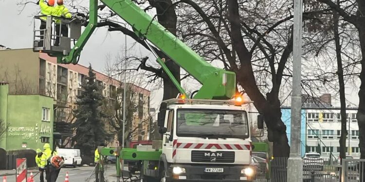 Tarnobrzeg. Po zimie czas na porządki. Ruszyły prace przy miejskiej zieleni