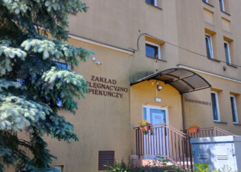 Stalowa Wola: Jedenastu chętnych na modernizacje parku przy Zakładzie Pielęgnacyjno – Opiekuńczym