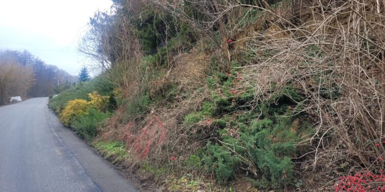 Sandomierz: Kolejne pieniądze na drogi. 150 milionów na inwestycje drogowe w województwie świętokrzyskim w 2026 roku