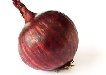 Biedronka wycofuje partię cebuli. Wykryto kadm