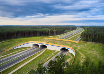 Region: Kto wykona dokumentację dla S74 w woj. podkarpackim?