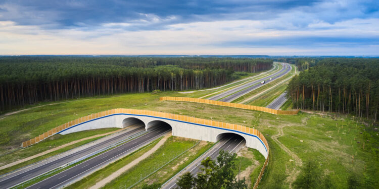 Region: Kto wykona dokumentację dla S74 w woj. podkarpackim?