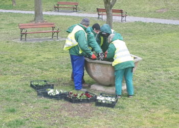 Sandomierz: Żeby było pięknie i kolorowo