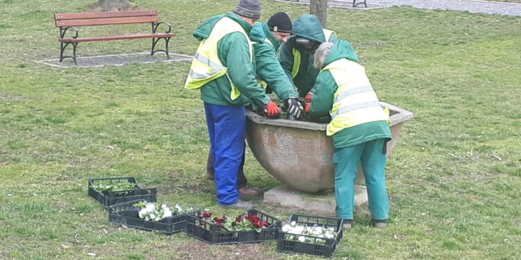 Sandomierz: Żeby było pięknie i kolorowo