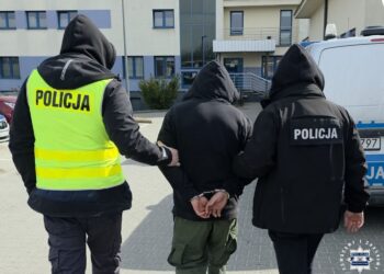 Staszów: Zatrzymany za serię kradzieży
