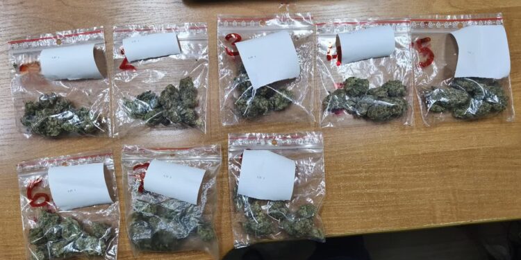 Mielec: 33-latek zatrzymany z narkotykami