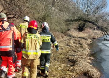 Sandomierz: Mężczyzna z urazem głowy znaleziony w starorzeczu Wisły