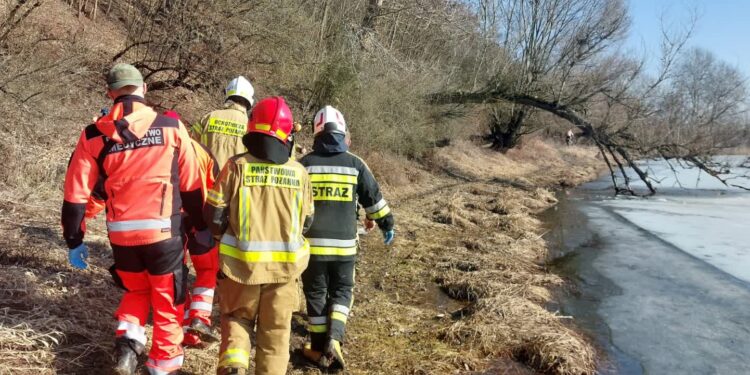 Sandomierz: Mężczyzna z urazem głowy znaleziony w starorzeczu Wisły