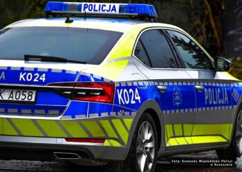 Podkarpacie: Kontrolowali przewoźników działających „na aplikację”