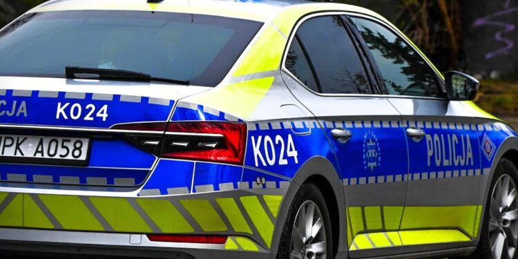 Podkarpacie: Kontrolowali przewoźników działających „na aplikację”