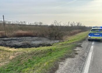 Sandomierz: Uwaga! Utrudnienia na drodze!