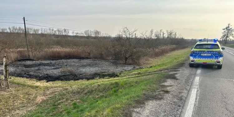 Koprzywnica: 68-latek odpowie za podpalenie nieużytków
