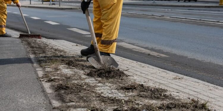 Mielec: Zima nie powiedziała ostatniego słowa…