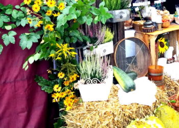 Mielec: Świętuje swój jubileusz  Lokalna  Grupa Działania PROWENT