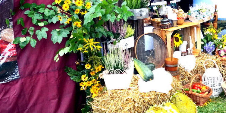 Mielec: Świętuje swój jubileusz Lokalna Grupa Działania PROWENT