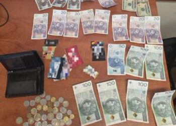 Klimontów, Koprzywnica: Policja zatrzymała złodzieja i włamywacza