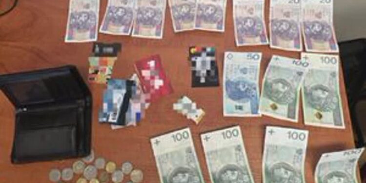 Klimontów, Koprzywnica: Policja zatrzymała złodzieja i włamywacza