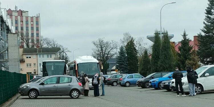 Tarnobrzeg. Nietrzeźwy kierowca autokaru zatrzymany przed wyjazdem