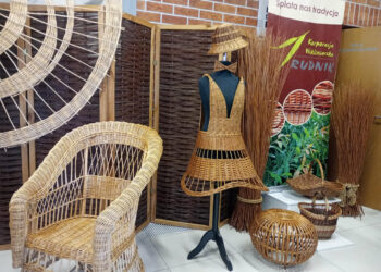 Nisko Uroczysta Sesja Rady Powiatu z wikliną w tle