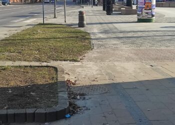 Mielec: Czas na wiosenne porządki