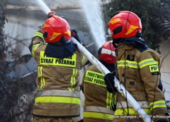 Podkarpacie: Już ponad 100 pożarów traw od początku tego roku