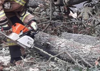 Stalowa Wola: Poprzewracane drzewa i zerwane dachy z powodu silnego wiatru