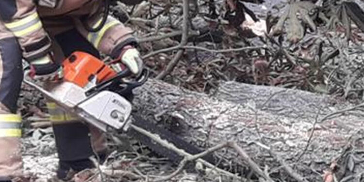 Stalowa Wola: Poprzewracane drzewa i zerwane dachy z powodu silnego wiatru