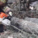 Stalowa Wola: Poprzewracane drzewa i zerwane dachy z powodu silnego wiatru