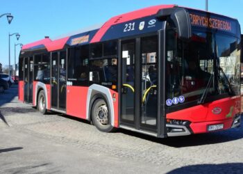 Mielec: Nowa linia i nowe przystanki