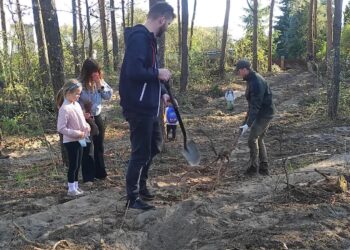 Mielec: 3 tysiące sadzonek  to nowy  początek ich  leśnego życia