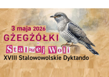 Stalowa Wola: W niedzielę Dyktando Gżegżółki