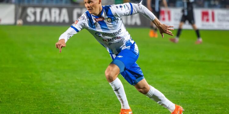 Mielec: Wygrane w mieleckim sporcie