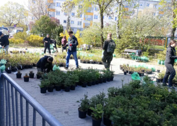 Stalowa Wola: Za nami 12. odsłona akcji 'Drzewko za makulaturę’.