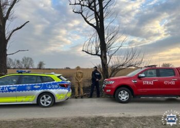 Sandomierz: Obszary zagrożone wypalaniem traw pod obserwacją policji i straży pożarnej