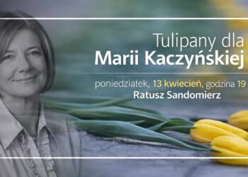 Sandomierz: Żółte tulipany dla Marii Kaczyńskiej