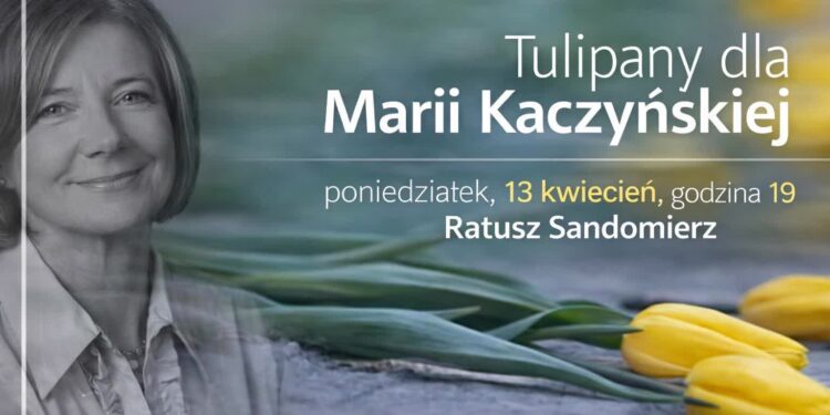 Sandomierz: Żółte tulipany dla Marii Kaczyńskiej