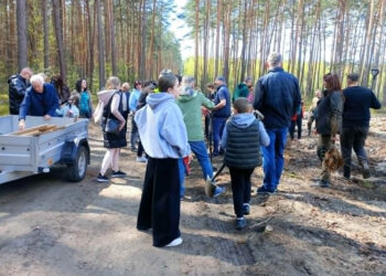 Stalowa Wola: Adwokaci w lesie