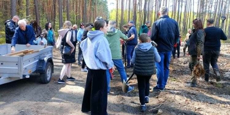 Stalowa Wola: Adwokaci w lesie