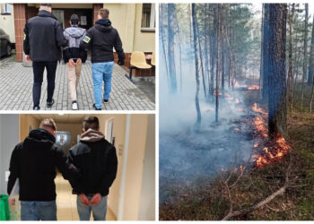 Stalowa Wola: Podpalali tereny leśne – zostali aresztowani