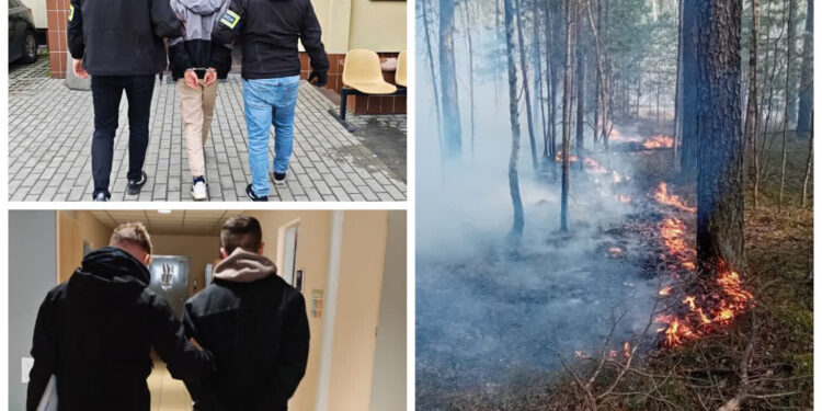 Stalowa Wola: Podpalali tereny leśne – zostali aresztowani