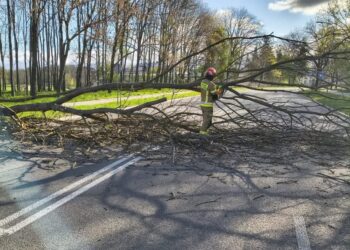 Region: Wiatr dął się we znaki. Strażacy mieli pracowity weekend