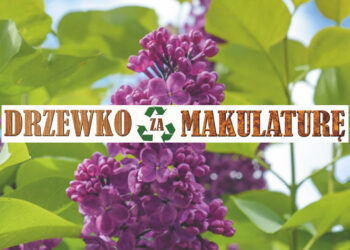 Stalowa Wola: Ponad 6 tysięcy sadzonek do rozdania w 12. edycji akcji „Drzewko za makulaturę”